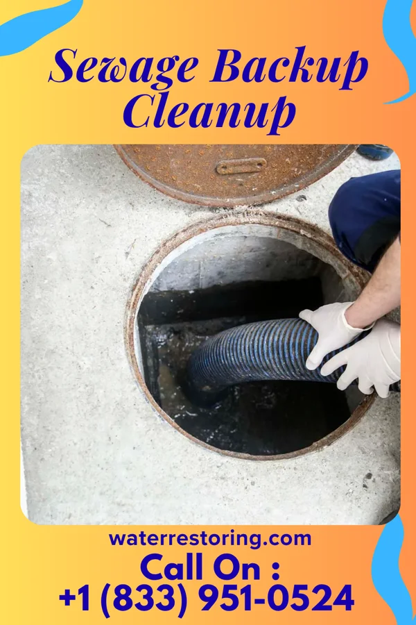 Sewage Backup Cleanup in Aristocrat Ranchettes, CO